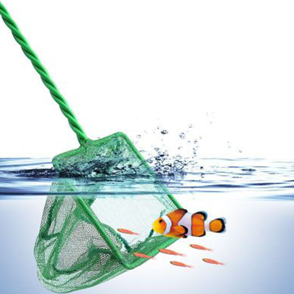 Transform Your Aquarium Experience with Our Telescopic Aquarium Fish Net