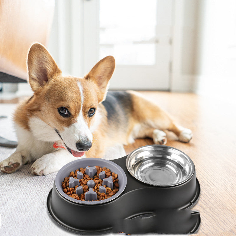The Ultimate Solution for Your Pet's Feeding Needs