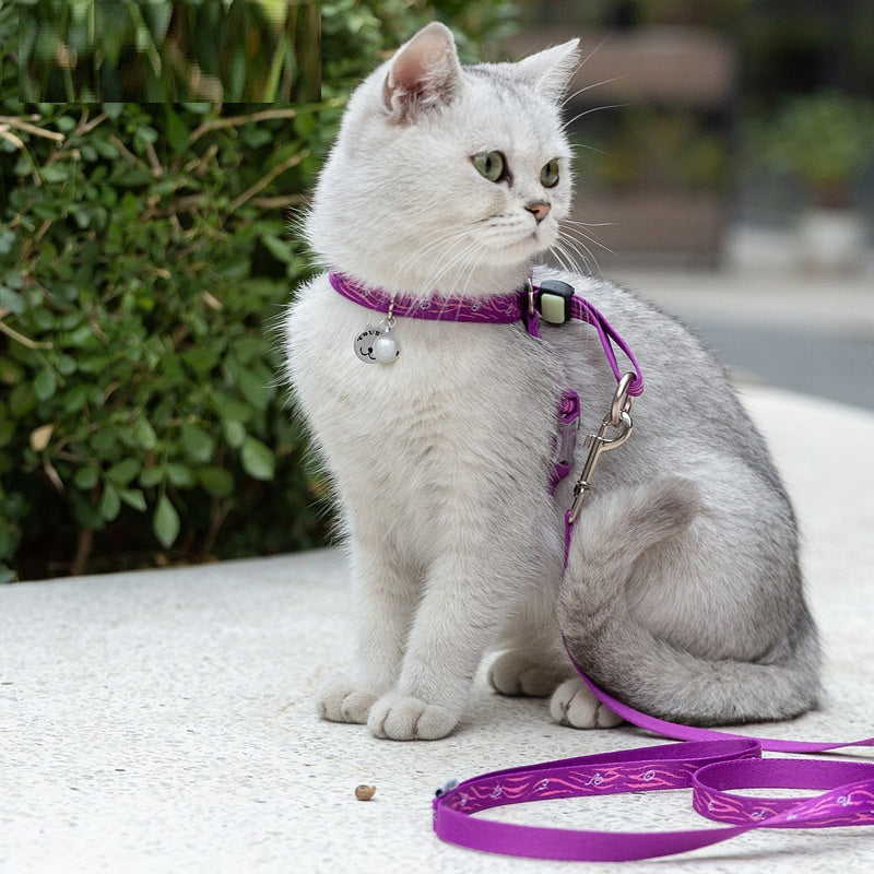 Unleash Fun with the Pet Bell Chest Strap Vest With Leash!