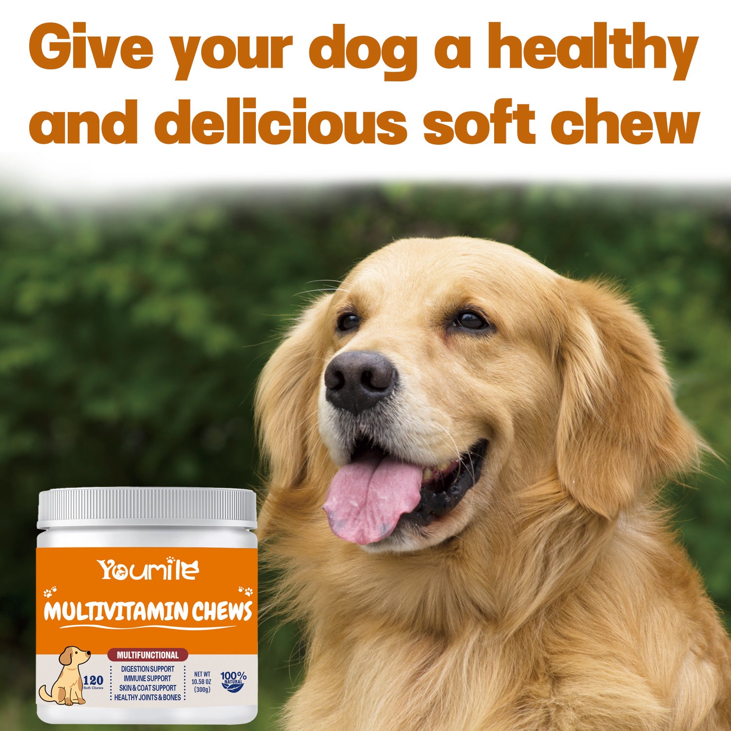 Unlock Your Pet's Full Potential with Our Multifunctional Health Supplement