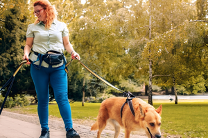 MAKING EVERY WALK MORE ENJOYABLE