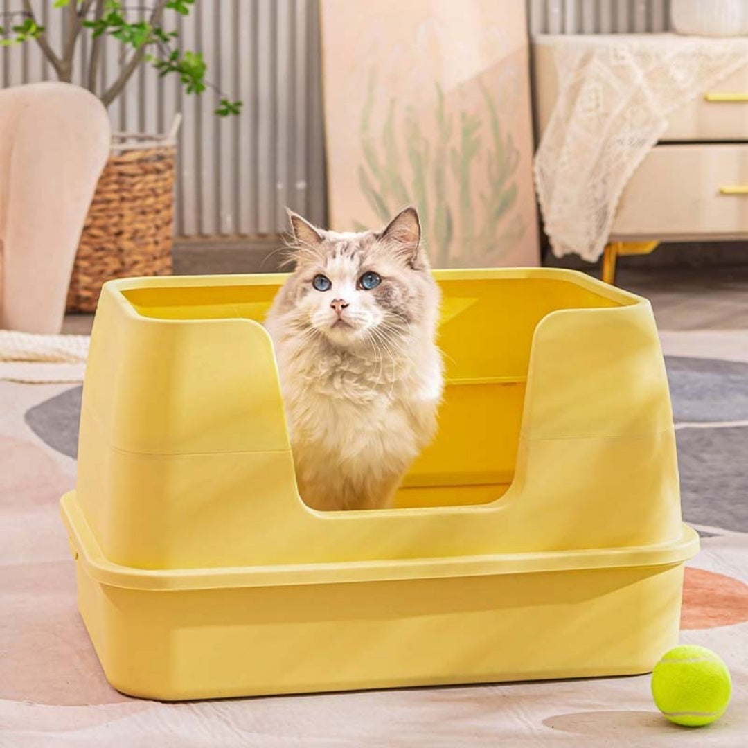 81af7f62f5d64770258e1cc9e174712d